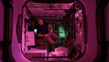 Alexander in Columbus module. Credits: ESA/NASA