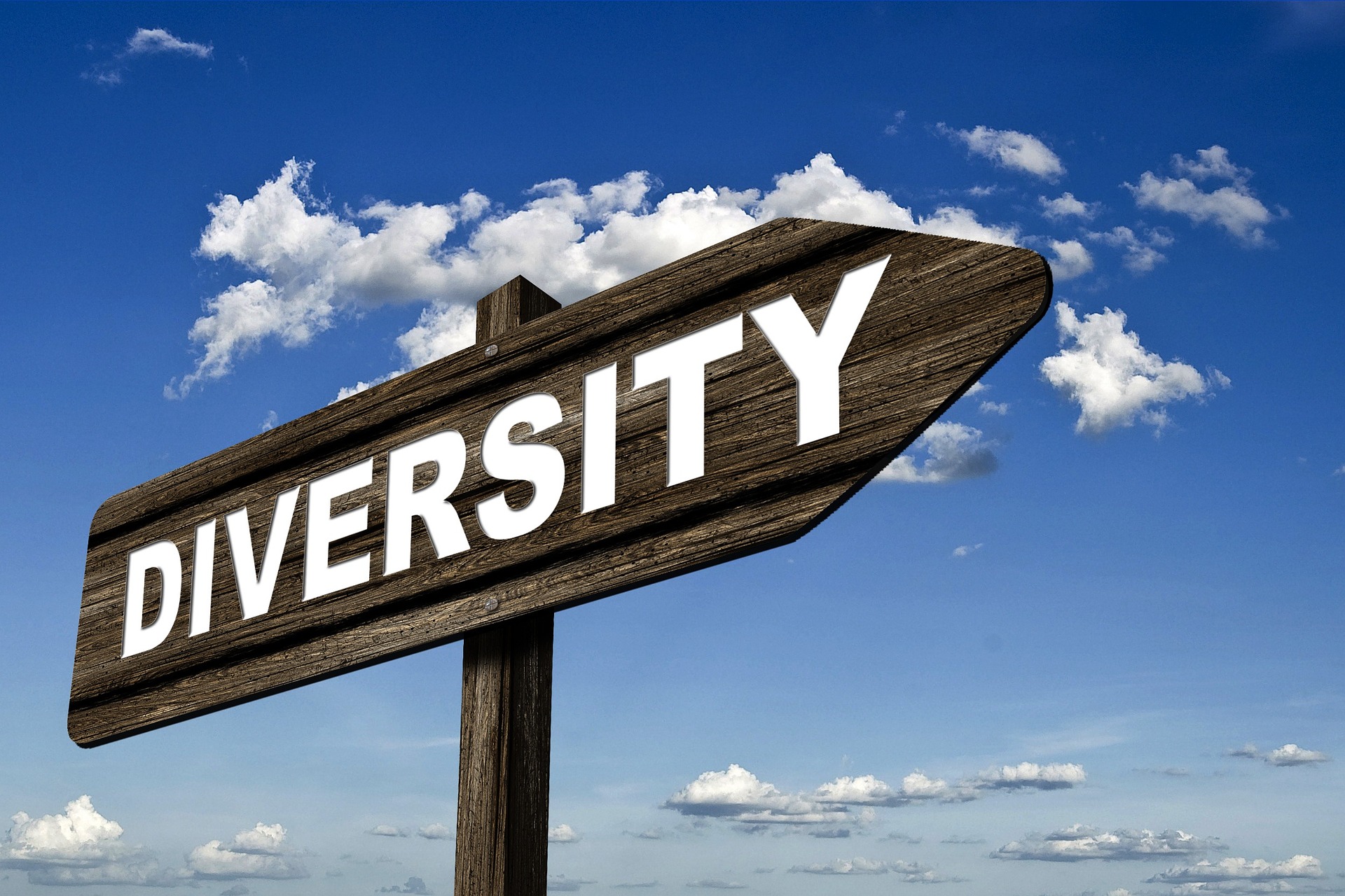 Why Promote Diversity Jan W rner s Blog