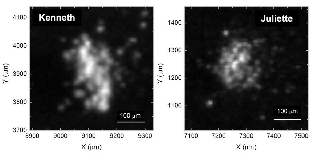 Optical image of two of the dust grains collected and analysed by COSIMA, named Kenneth and Juliette, which show the signature of carbon-based organics. They were collected in May and October 2015 respectively.