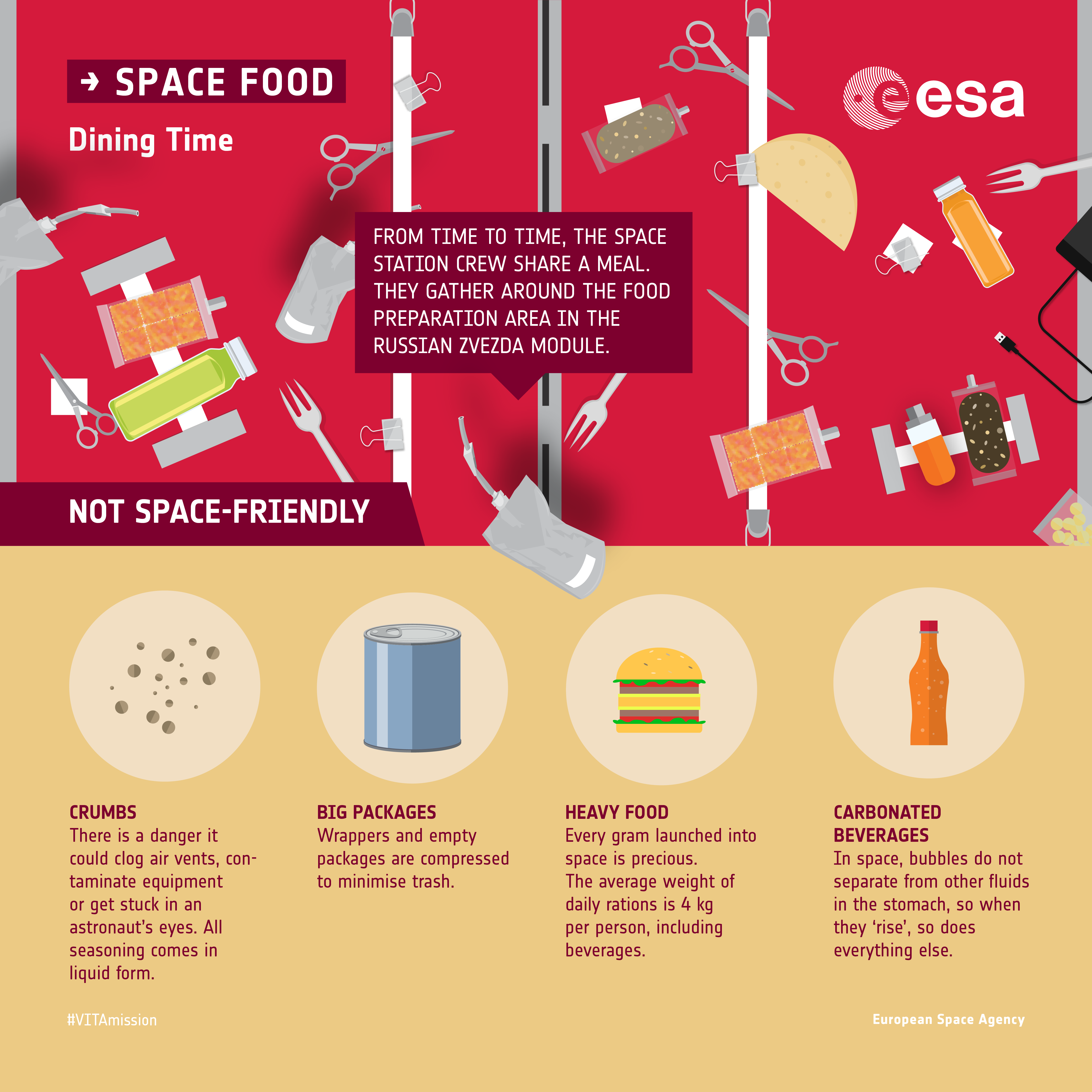 space food research paper