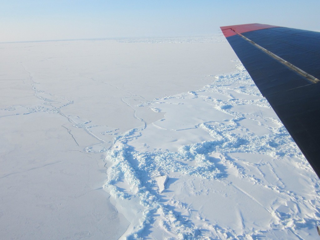 Flying over the boundary between young ice (left) and first-year ice (right). (A. Casey, University of Alberta)