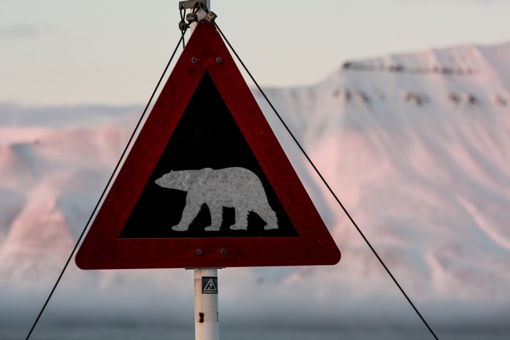 Constantly on the look out for polar bears. (S. Hendricks, AWI)