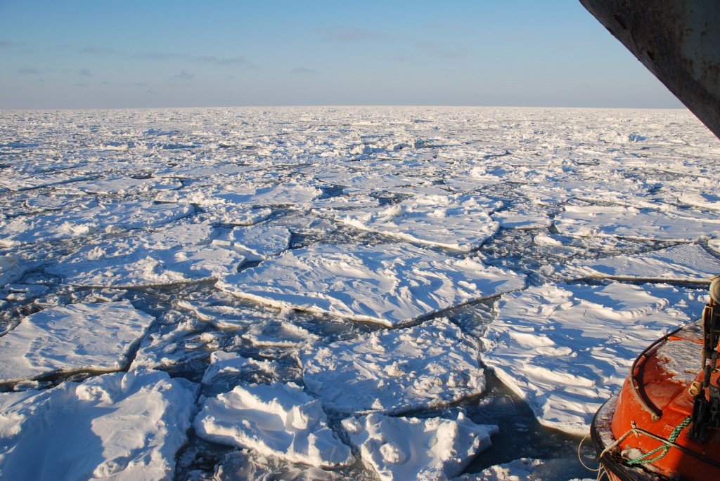 Ice formed in the far north drifting southwards along the east of Spitsbergen. (ESA–M. Drusch)  