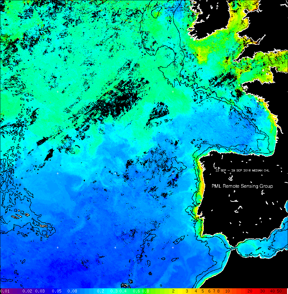 Chlorophyll-a median composite on 23–29 September 2016.