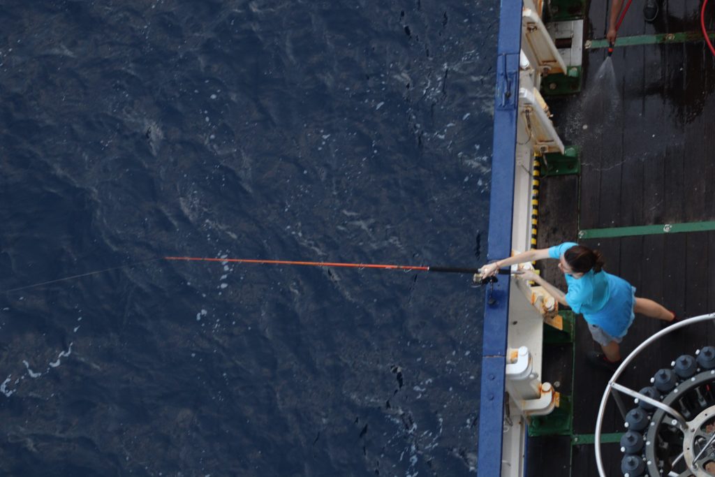 Exploring fishing techniques in open water. (Sorbonne Université-J. Habib)