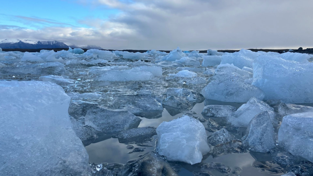 A proglacial lake, full of calved ice that now floats as icebergs and eventually melts. (Credit: CPOM)