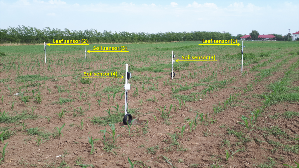 Soil and leaf sensors positioned in a field. (Terrasigna)