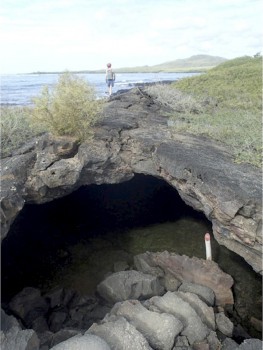 An entrance to a shallow Lava Tube in the Galapagos ilands. (photo Paolo Forti)