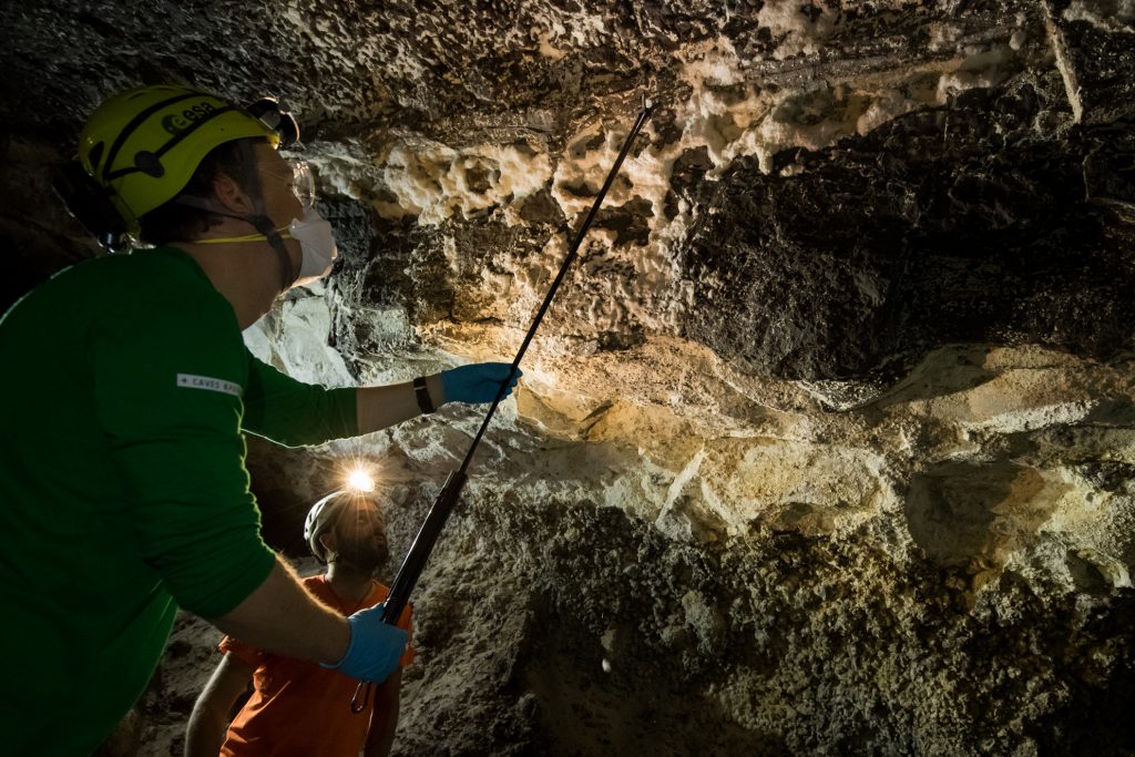 Hunting for Mars-like bacteria in a volcanic cave – Caves & pangaea blog