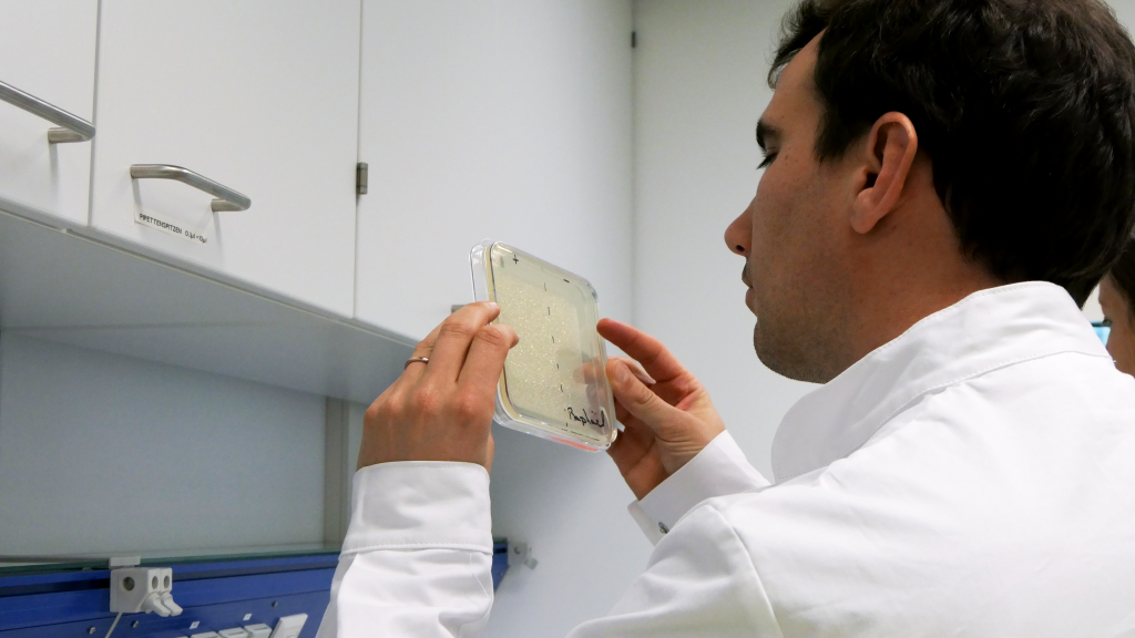 Raphaël Liégeois examining a microbial sample. Credits: ESA/DLR