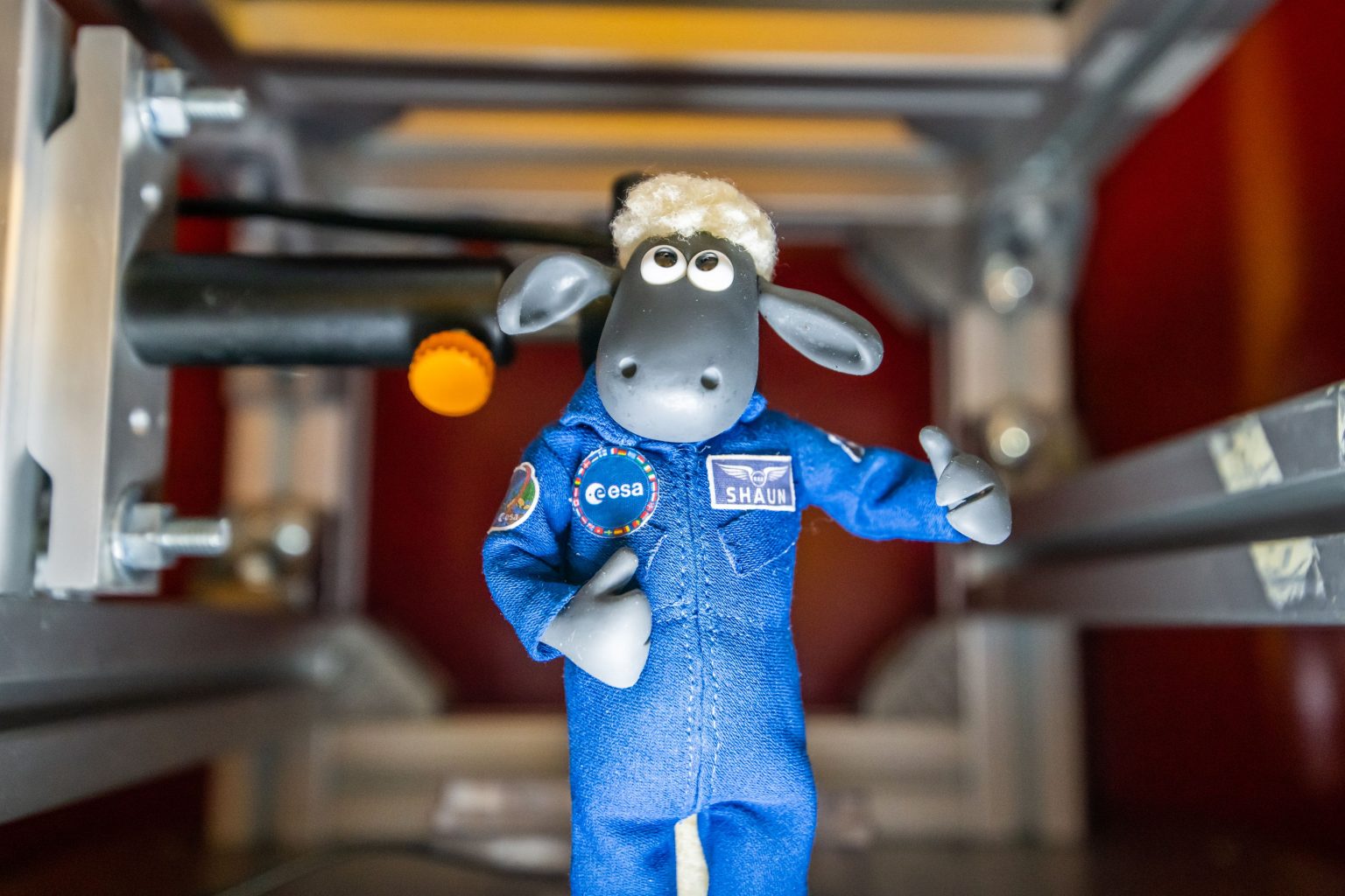 Shaun the Sheep goes for a spin Orion blog