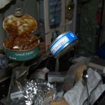 ESA space food