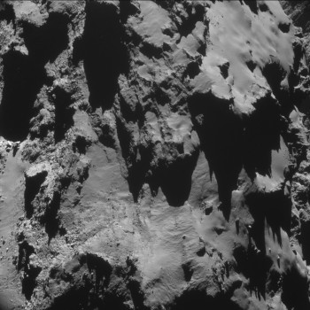 ESA_Rosetta_NAVCAM_141008_D