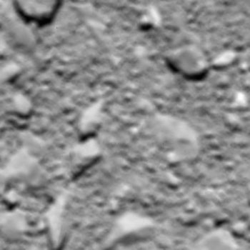 Rosetta's last image, taken 20 m from the surface of the comet. ESA/Rosetta/MPS for OSIRIS Team MPS/UPD/LAM/IAA/SSO/INTA/UPM/DASP/IDA