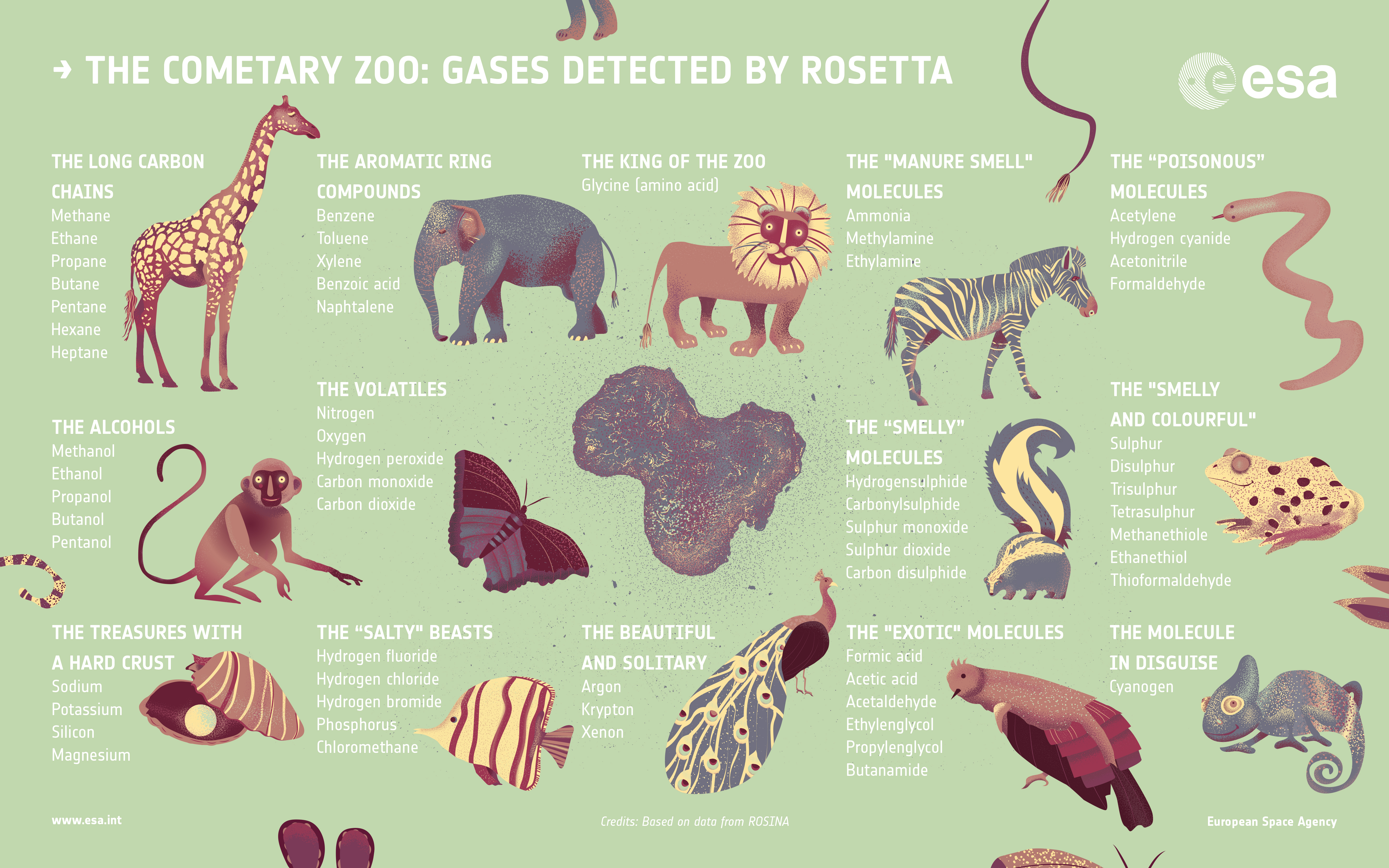 rosetta_the_cometary_zoo_final_green