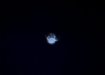 Chip in the International Space Station's Cupola observatory caused by space debris. Credits: ESA/NASA