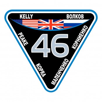 Expedition 46 patch