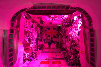 Columbus laboratory in the reddish glow of the space greenhouse. Credits: ESA/NASA