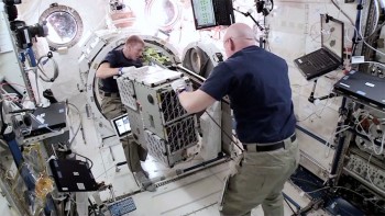 Loading the satellites with commander Kelly. Credits: NASA TV