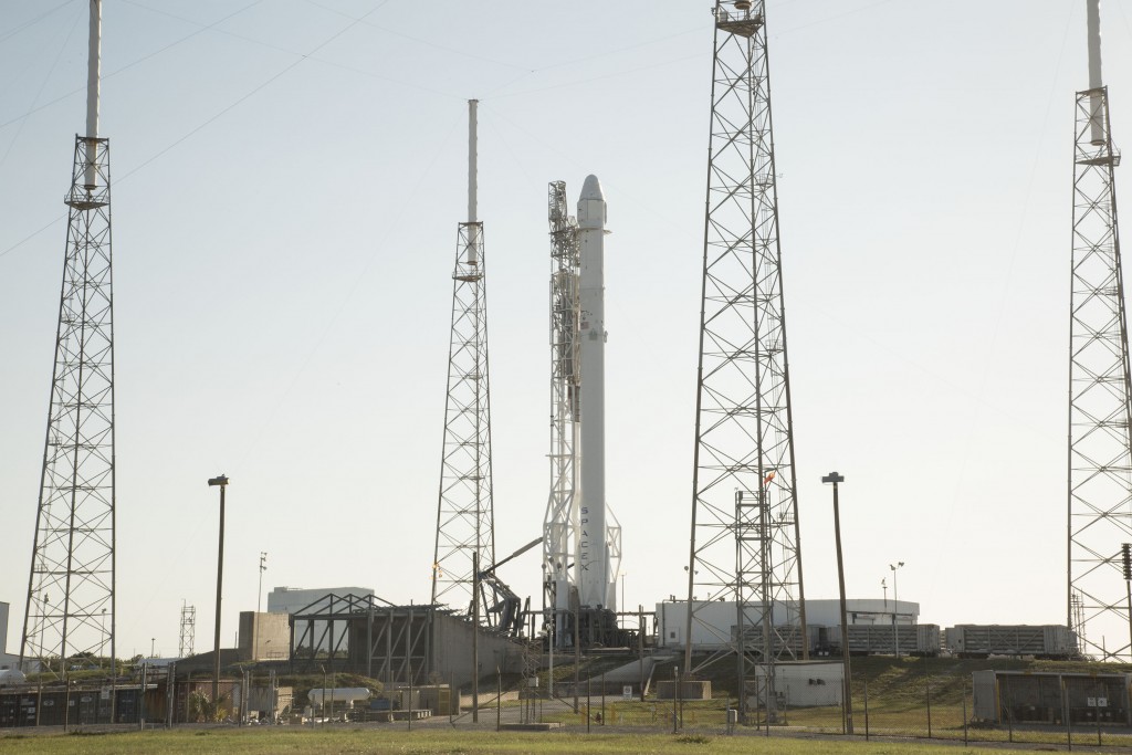 Dragon on the launchpad. 